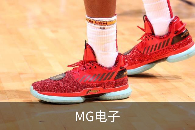 MG电子公司简介